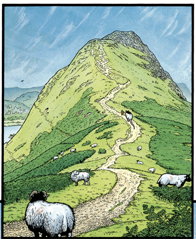 Cat Bells, Near Keswick