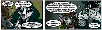 What LeBrock says about parrot and Kingfisher feathers is correct.